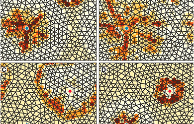 Un modelo matemático explica cómo circula la sangre por el cerebro