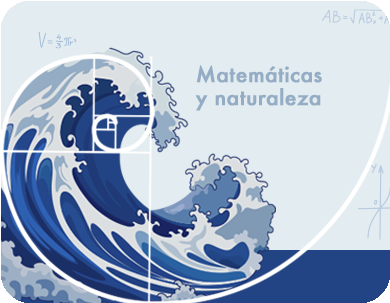 I Concurso de Matemática Aplicada y Computacional