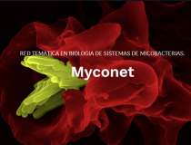 Myconet