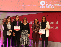 Accesit Steam Accesit Steam