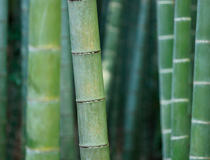 Resolución y resilencia