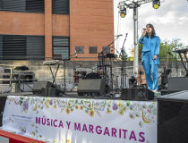 Musica y margaritas: Irenegarry