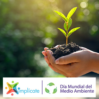 Destacado provisional