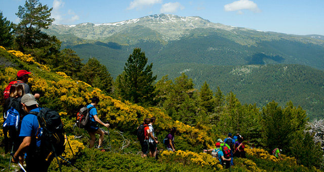 Aire Libre
