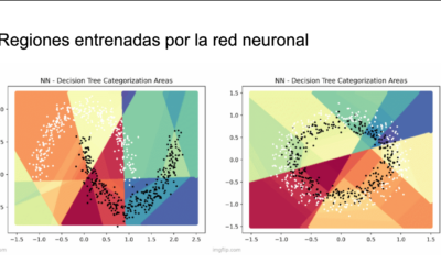 From neural networks to decision trees: uncovering…