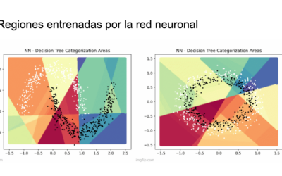 De redes neuronales a árboles de decisión: obteniendo…