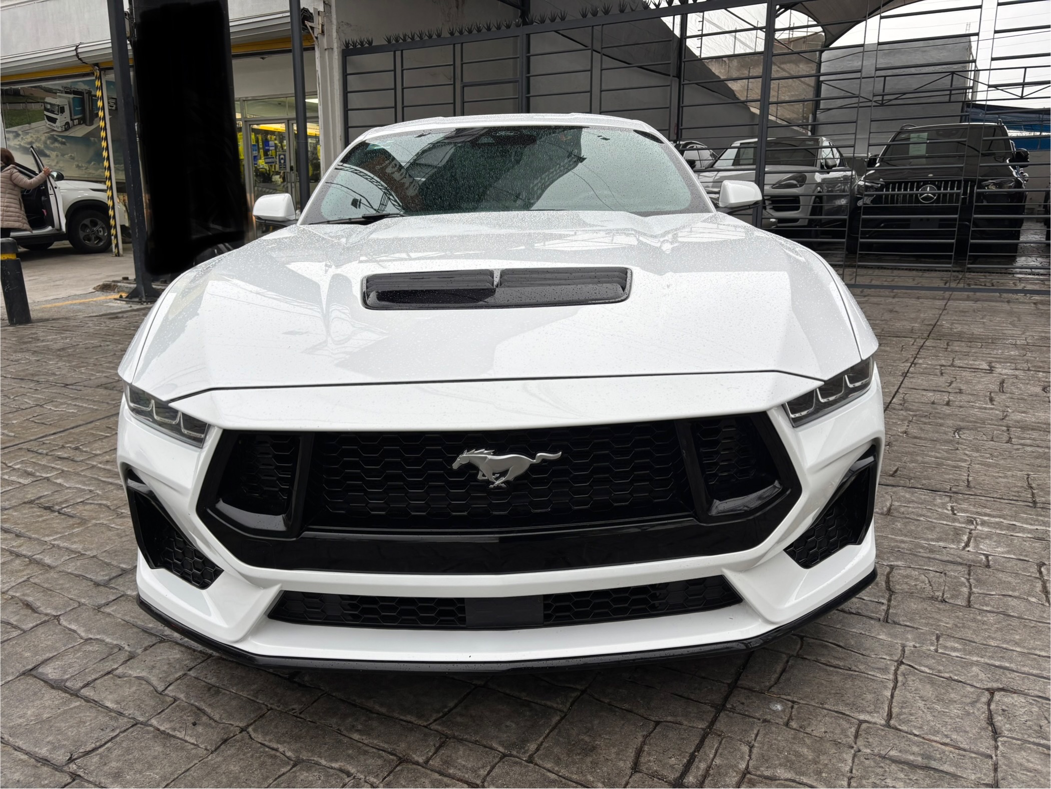 Ford Mustang 2024 GT PREMIUM Automático Blanco