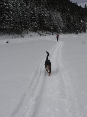 Vertical Frontiers - Austria Ski Tour Vertical Frontiers - Austria Ski Tour