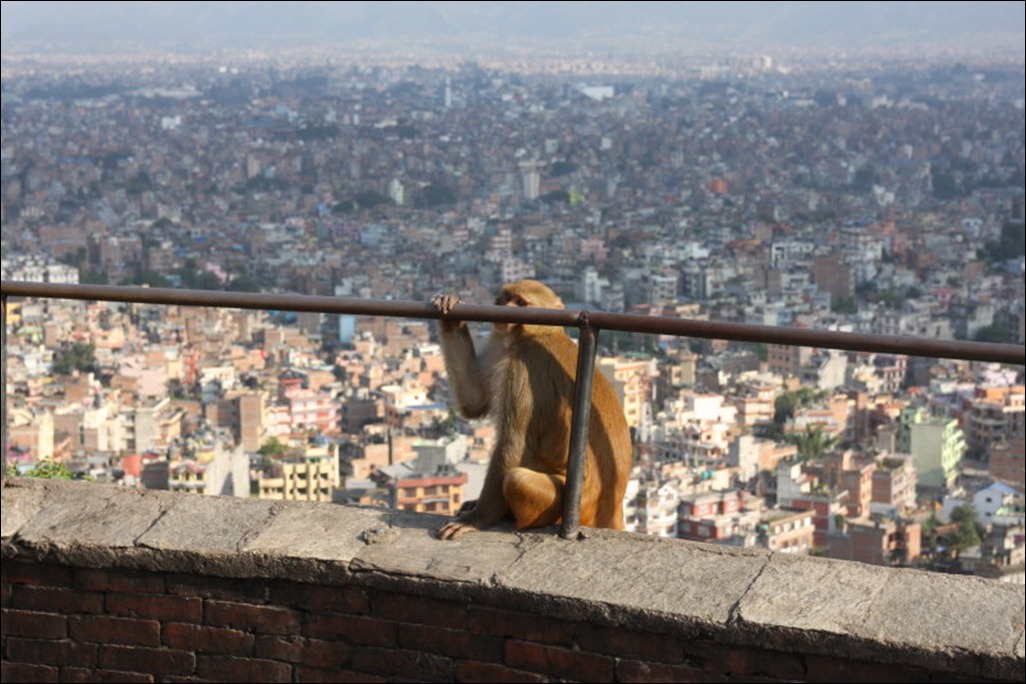 Kathmandu from the Monkey Temple