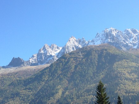 The forest leading to the mid station on the midi, with the Chamonix aiguilles in the background