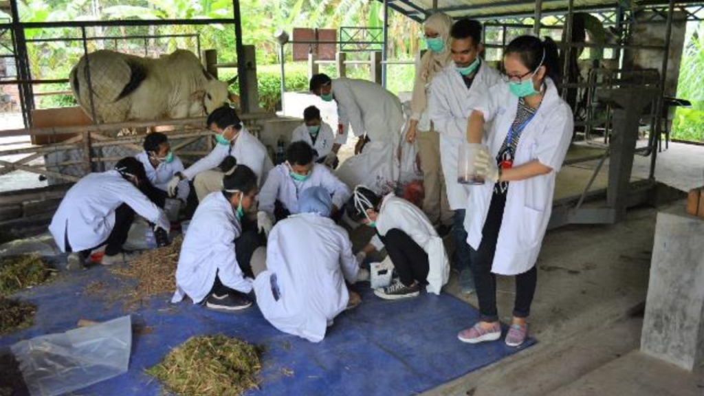 Prospek Kerja Peternakan