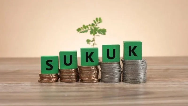 apa itu asn sukuk