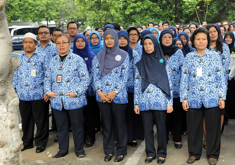 PNS Itu Bisa Bekerja di Bidang Apa Saja
