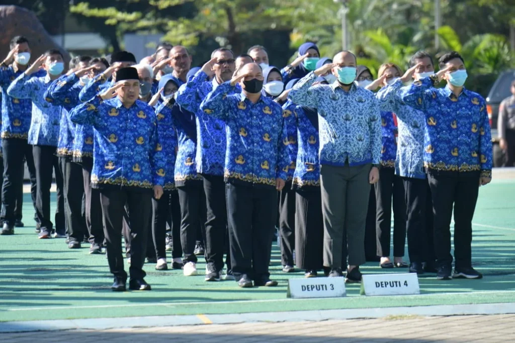 PNS Itu Apa Saja
