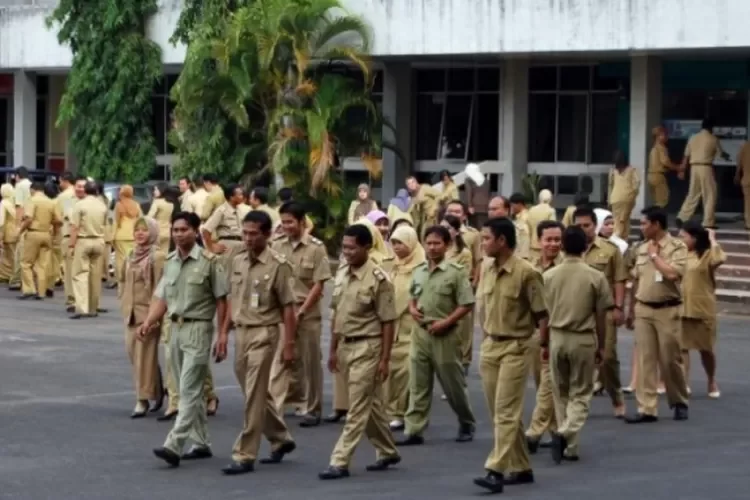 Baju PNS pria