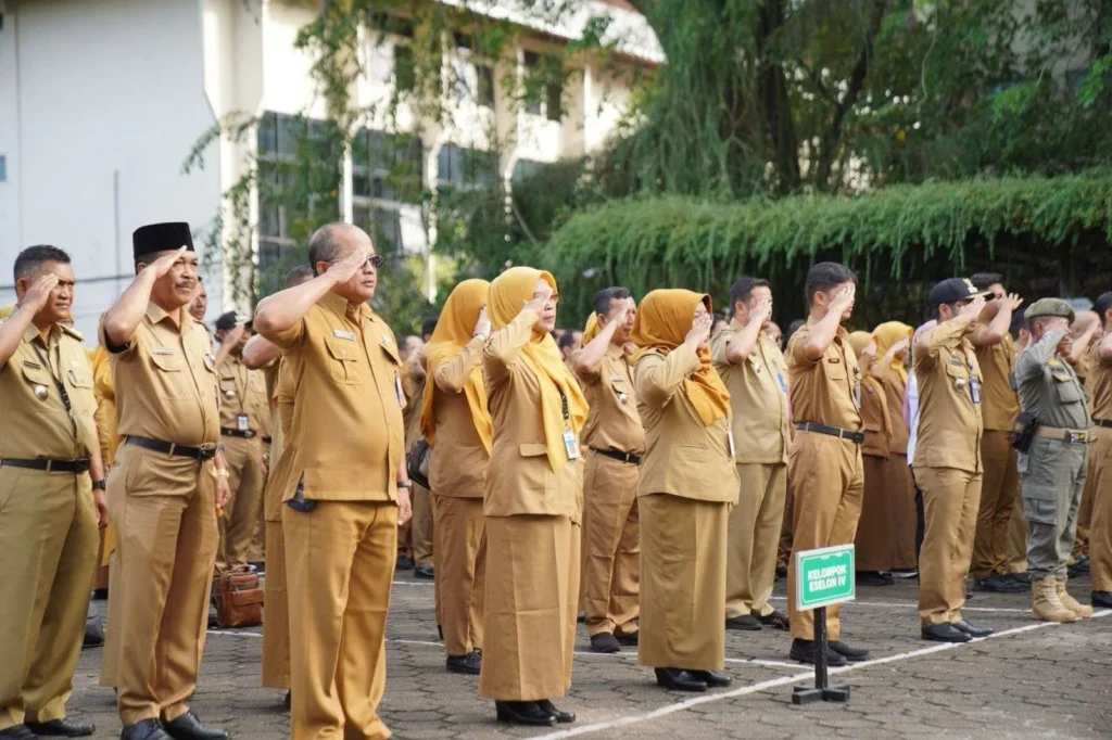 Baju PNS khaki