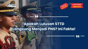 apakah lulusan sttd langsung menjadi pns