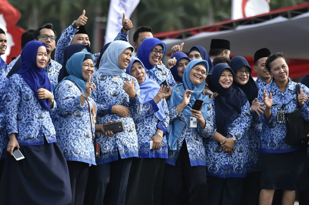 PNS Jabatan Fungsional Apa Saja