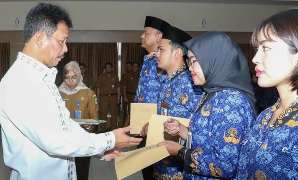 Perbedaan CPNS dan PNS