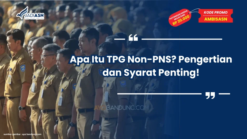 Apa itu TPG Non PNS