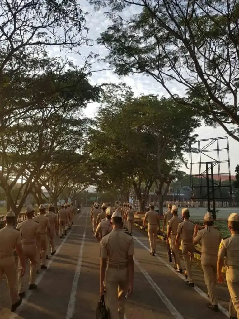 Apakah Lulusan STTD Langsung Menjadi PNS