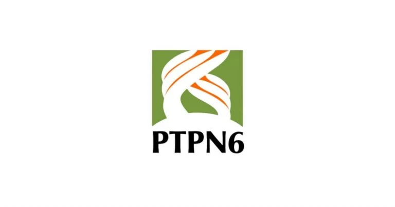 Posisi Pegawai PTPN 6: Peluang Karir di Sektor Perkebunan