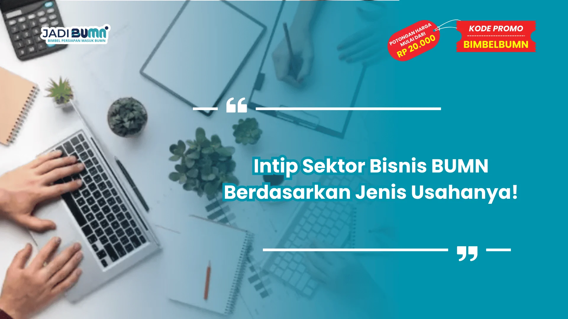 Sektor bisnis BUMN