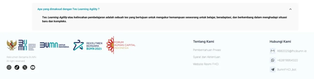 Tes learning agility BUMN 2025