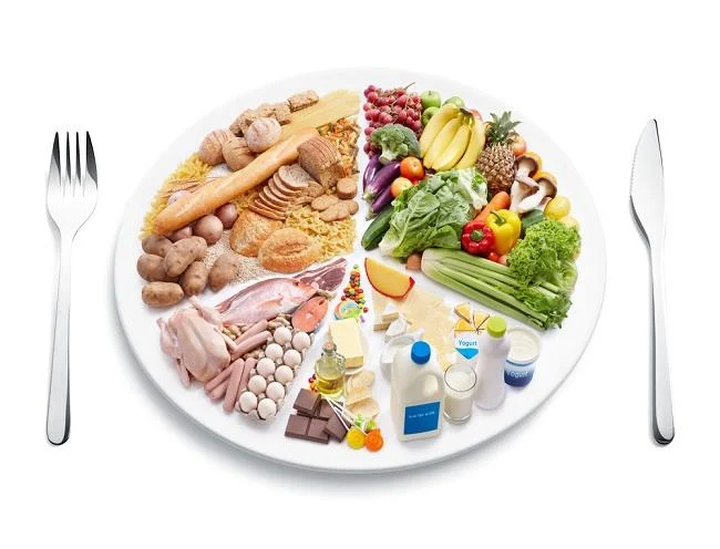 Peran Protein Hewani dalam Gizi Seimbang