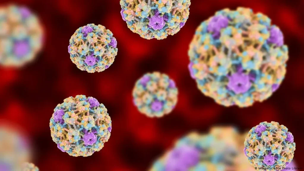 Apa Itu HPV dan Mengapa Penting untuk Dikenali?