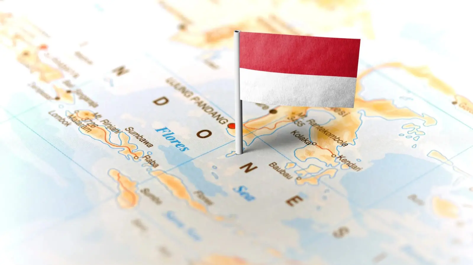 Penempatan Kerja PCPM BI 40