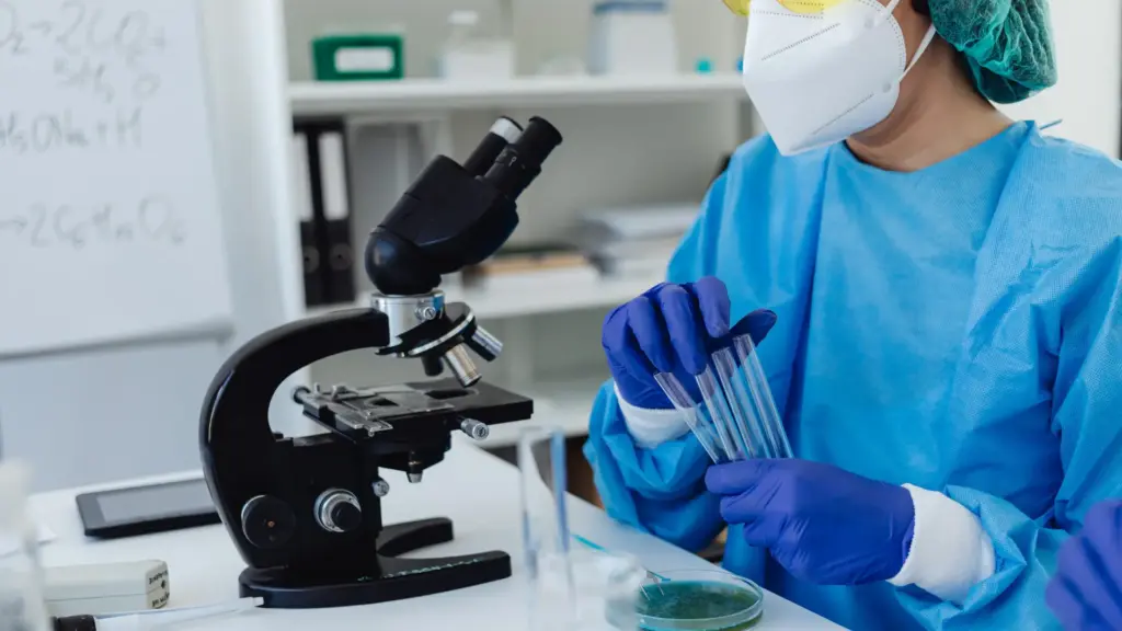 Apa Saja yang Diperiksa dalam Tes Kesehatan PCPM BI?