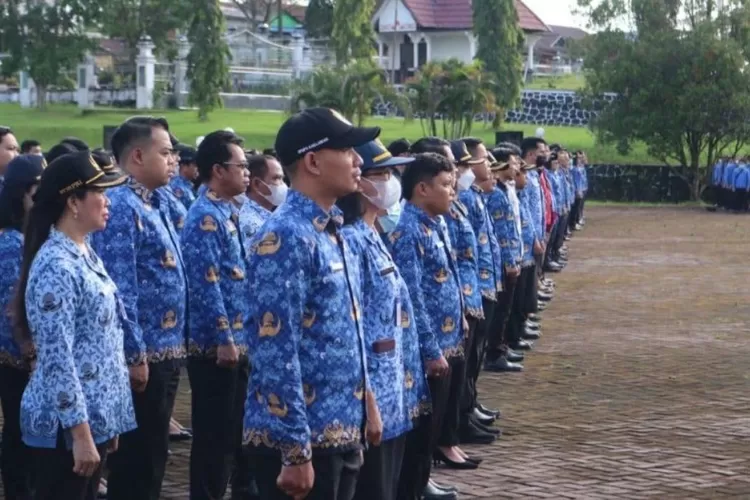 Formasi PPPK 2025