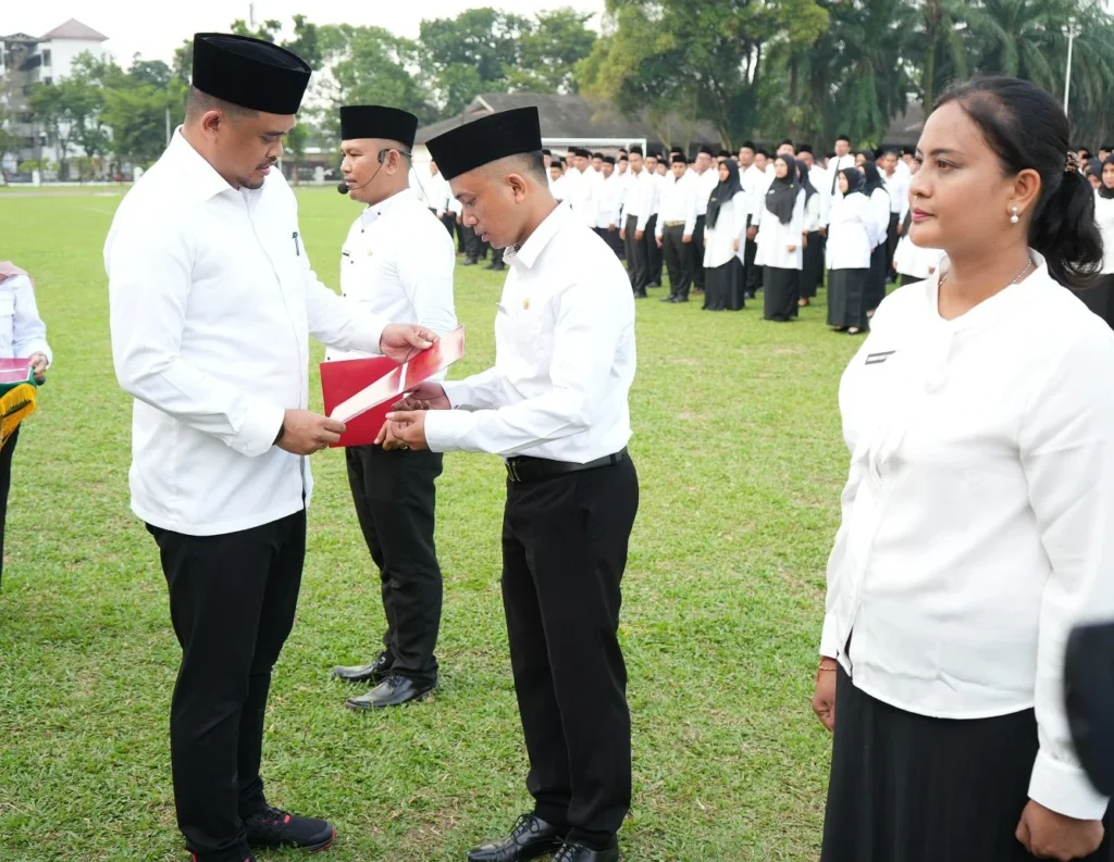 Bimbel PPPK Online 2025