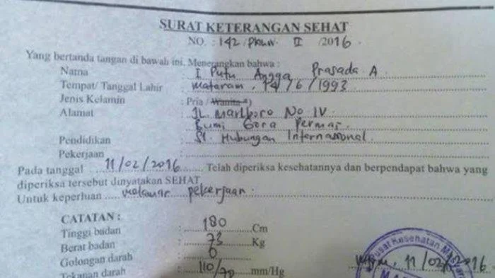 Syarat dan Kriteria Surat Keterangan Sehat untuk STIN