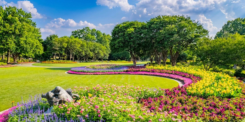 Thousands of flowers at the Dallas Arboretum.