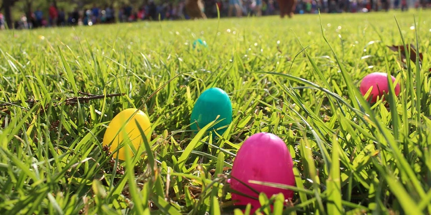 Easter eggs on the grass in honor of our Easter weekend.