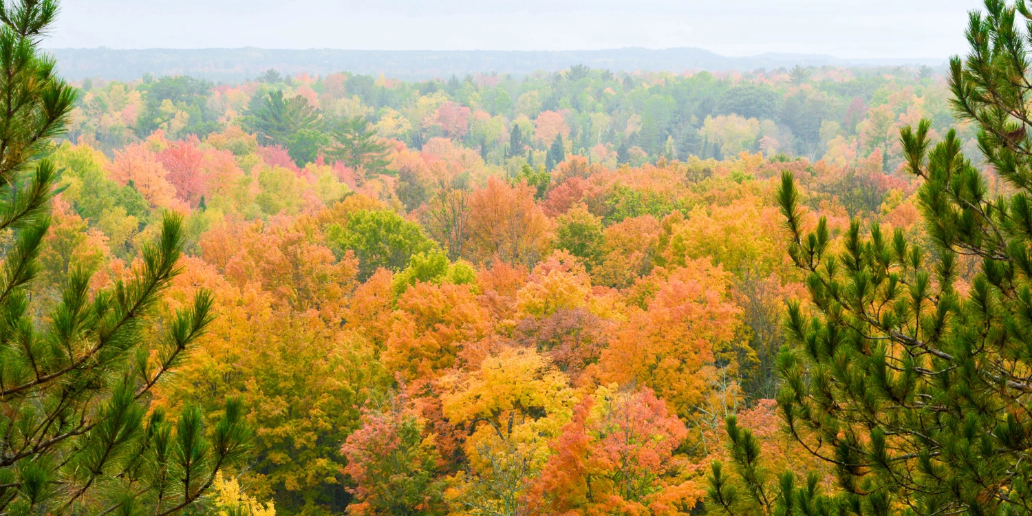 2024 Fall Foliage Schedule in Northern Michigan Leelanau Pines Campground