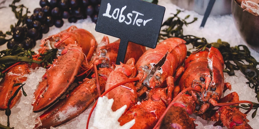 You can enjoy authentic Maine lobster and craft beer when you grab a bite to eat at the Woodshed!