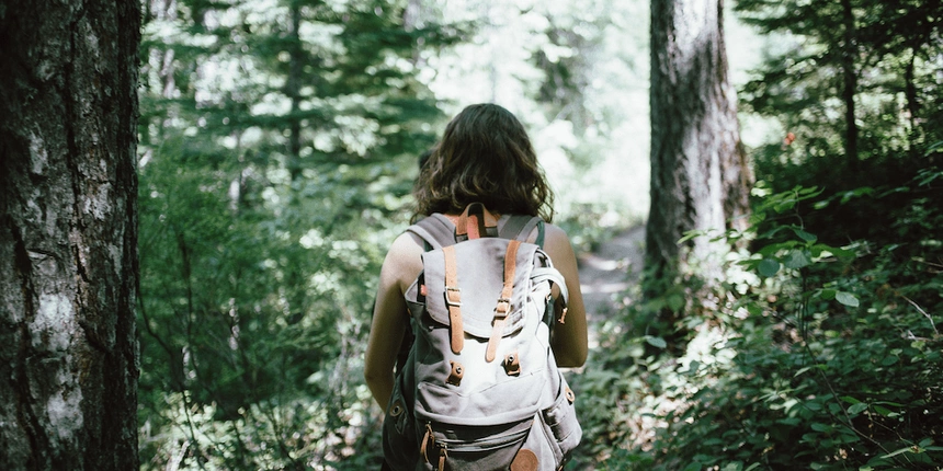 Hike through White Mountain National Forest!