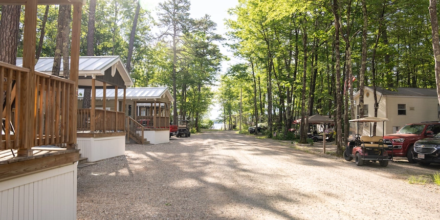 Relax in our Pine Forest Cottage