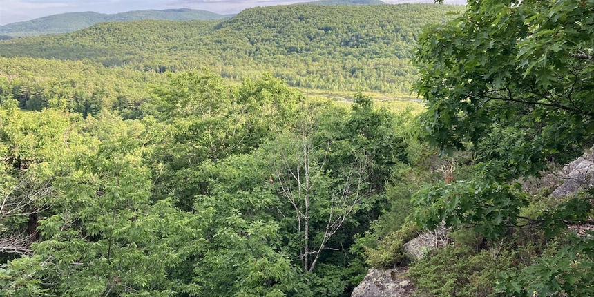 Cotton Valley Trail