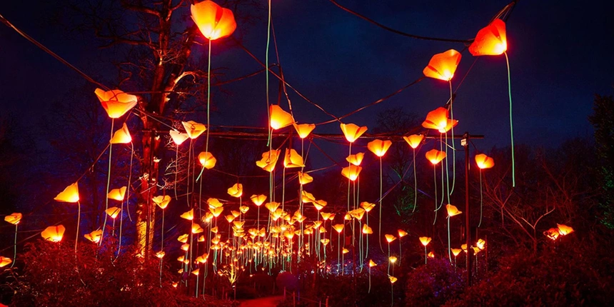 Flower lights lit up for Lightscape at the San Antonio Botanical Gardens. 