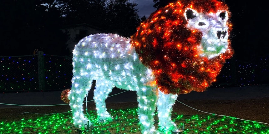 A display of a lion at the San Antonio Zoo lights. 