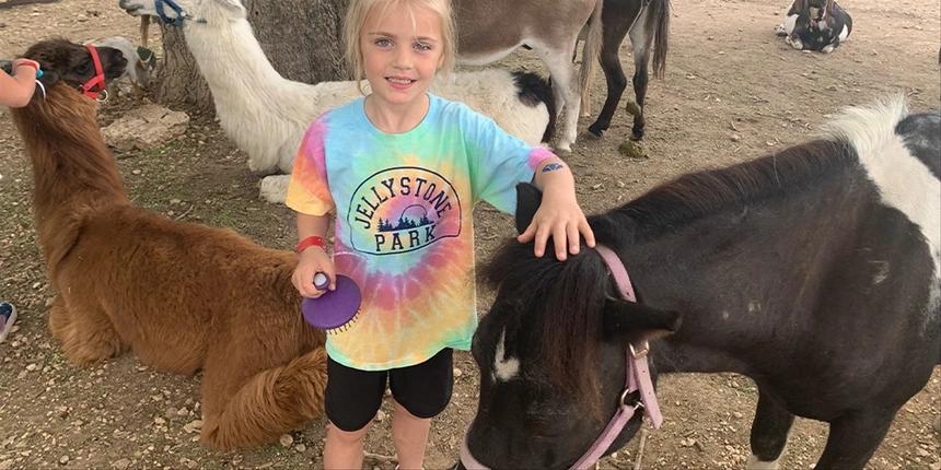 A camper brushing a pony at the petting zoo. 
