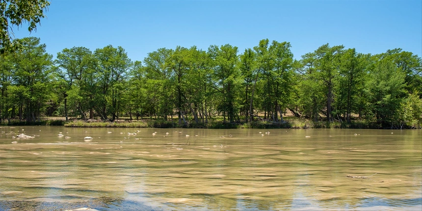 The Guadalupe River on a sunny day. 