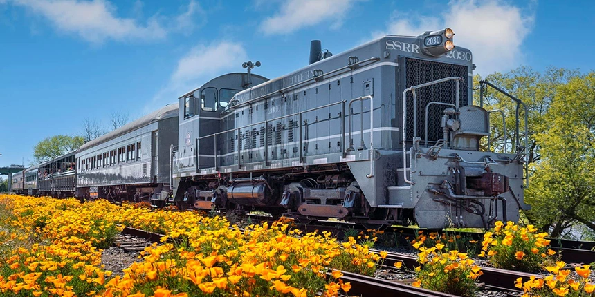 A train on a railroad track in the spring!