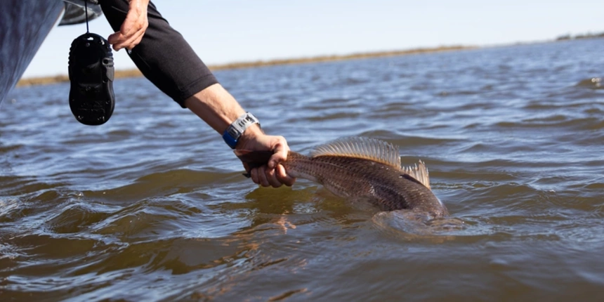 Fishing Lakes Near Houston and More Kid-Friendly Places To Go Fishing