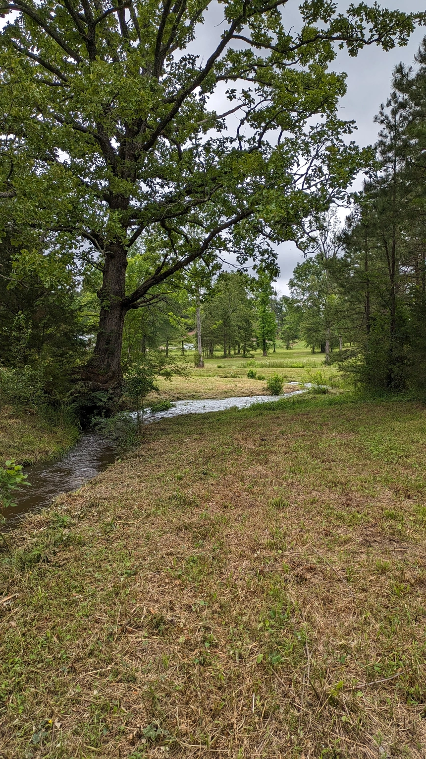 Eden Brook