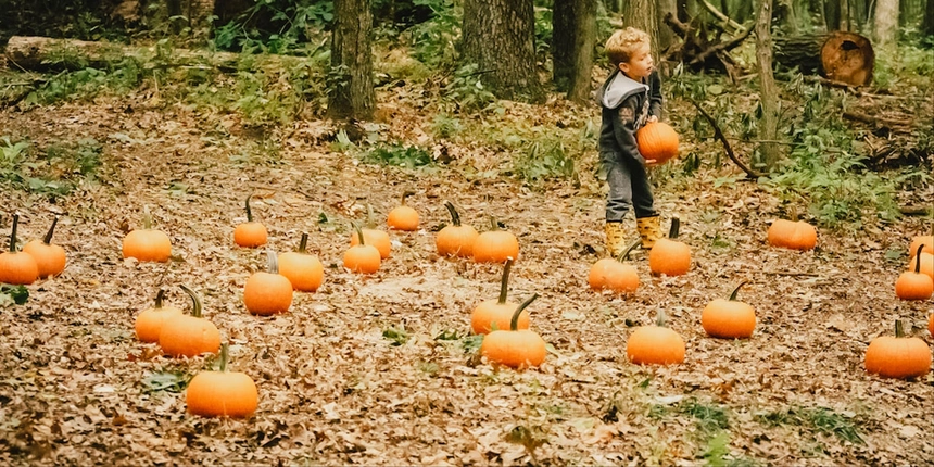 How big will your pumpkin grow?